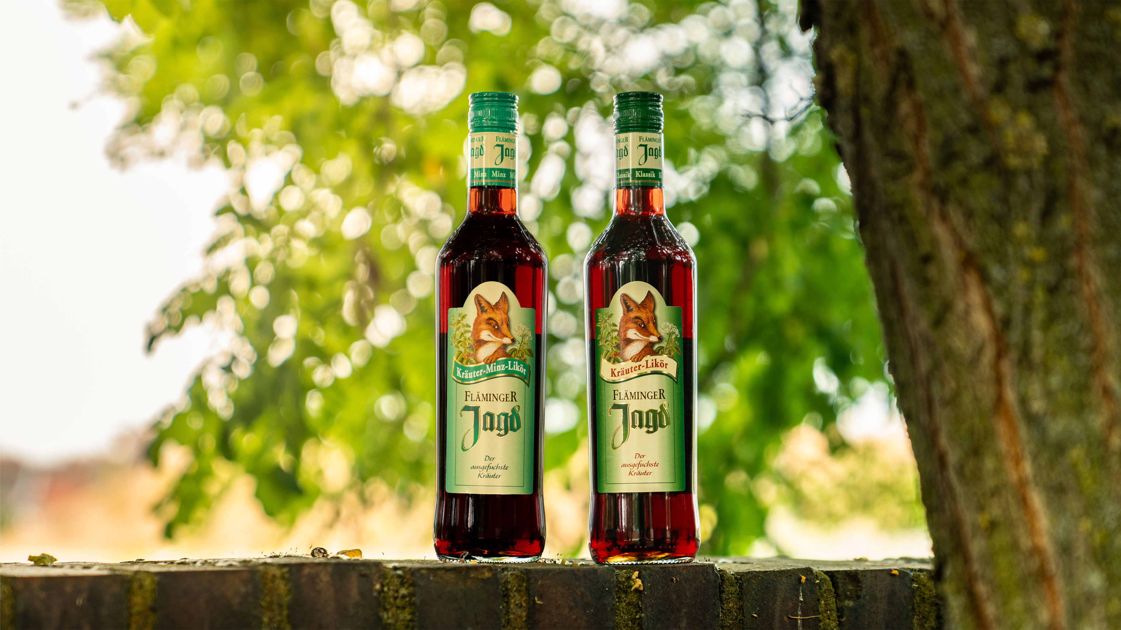 Fläminger Jagd Flaschen stehen auf einer Mauer 