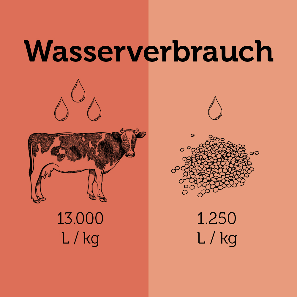 Vergleichsgrafik zum Wasserbedarf einer Kuh und einer Portion Bohnen