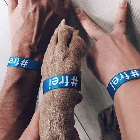 Das Foto zeigt zwei Hände mit blauem #frei Band, die ins Bild ragen. Zwischen den Armen eine Hundepfote, ebenfalls mit Band.