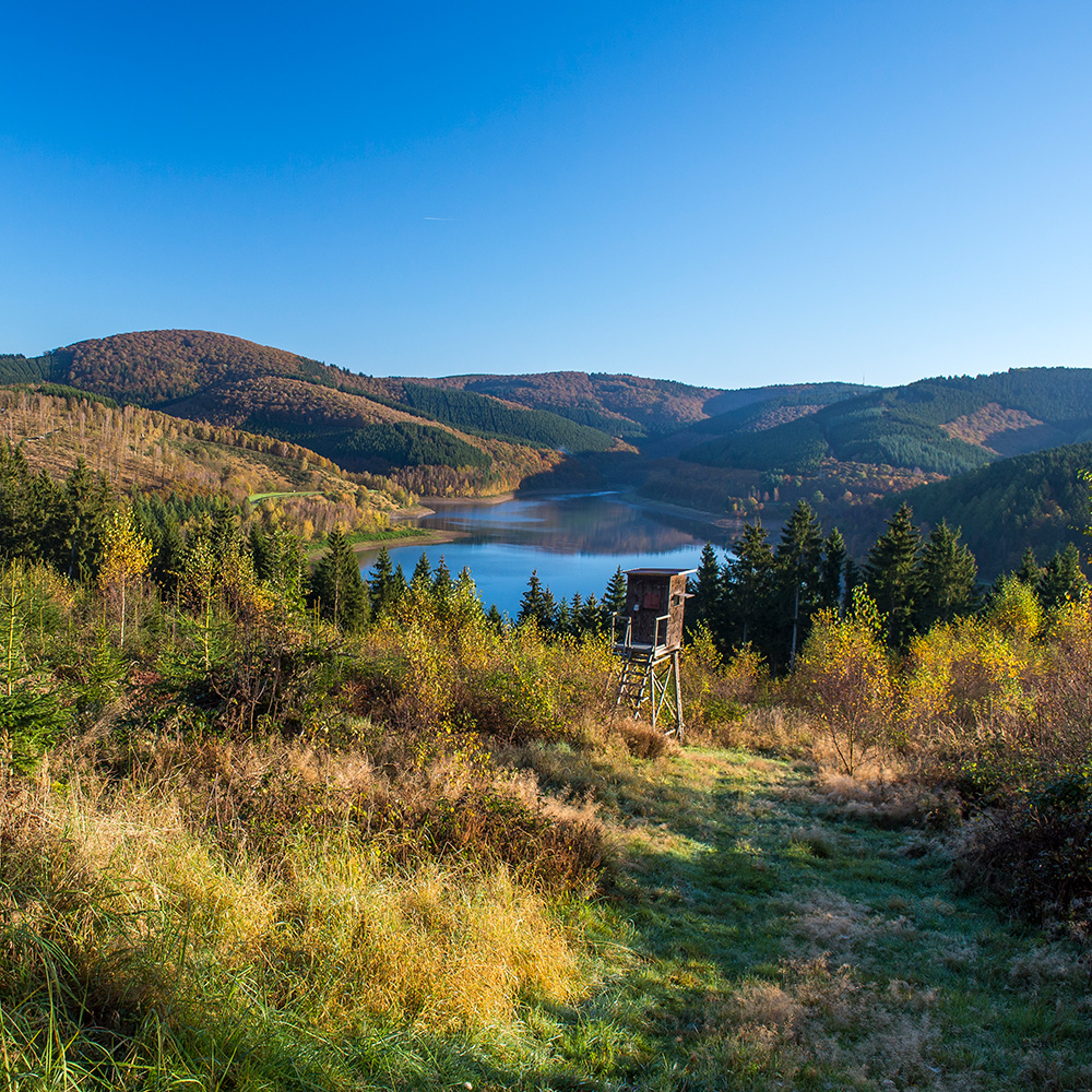 Das Foto zeigt eine hügelige Landschaft mit viel Wald und einem See in der Ferne.