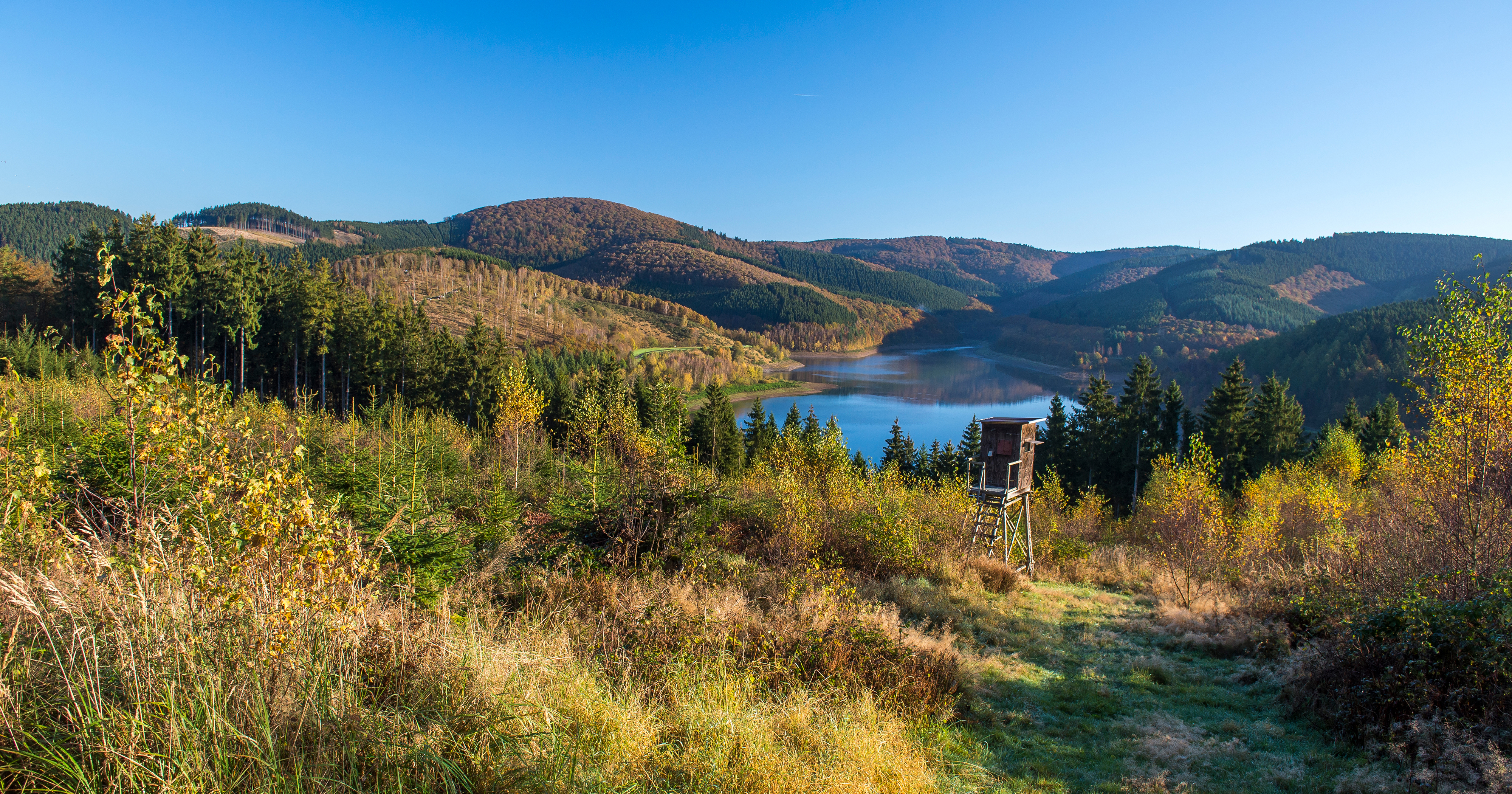 Das Foto zeigt eine hügelige Landschaft mit viel Wald und einem See in der Ferne.