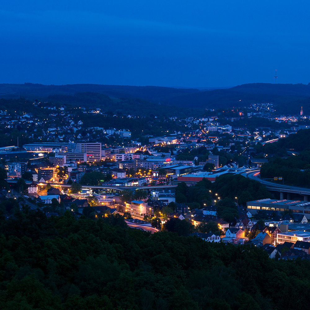Das Foto zeigt eine Stadt in der Dämmerung. Lichter scheinen hell, im Vordergrund Wald.