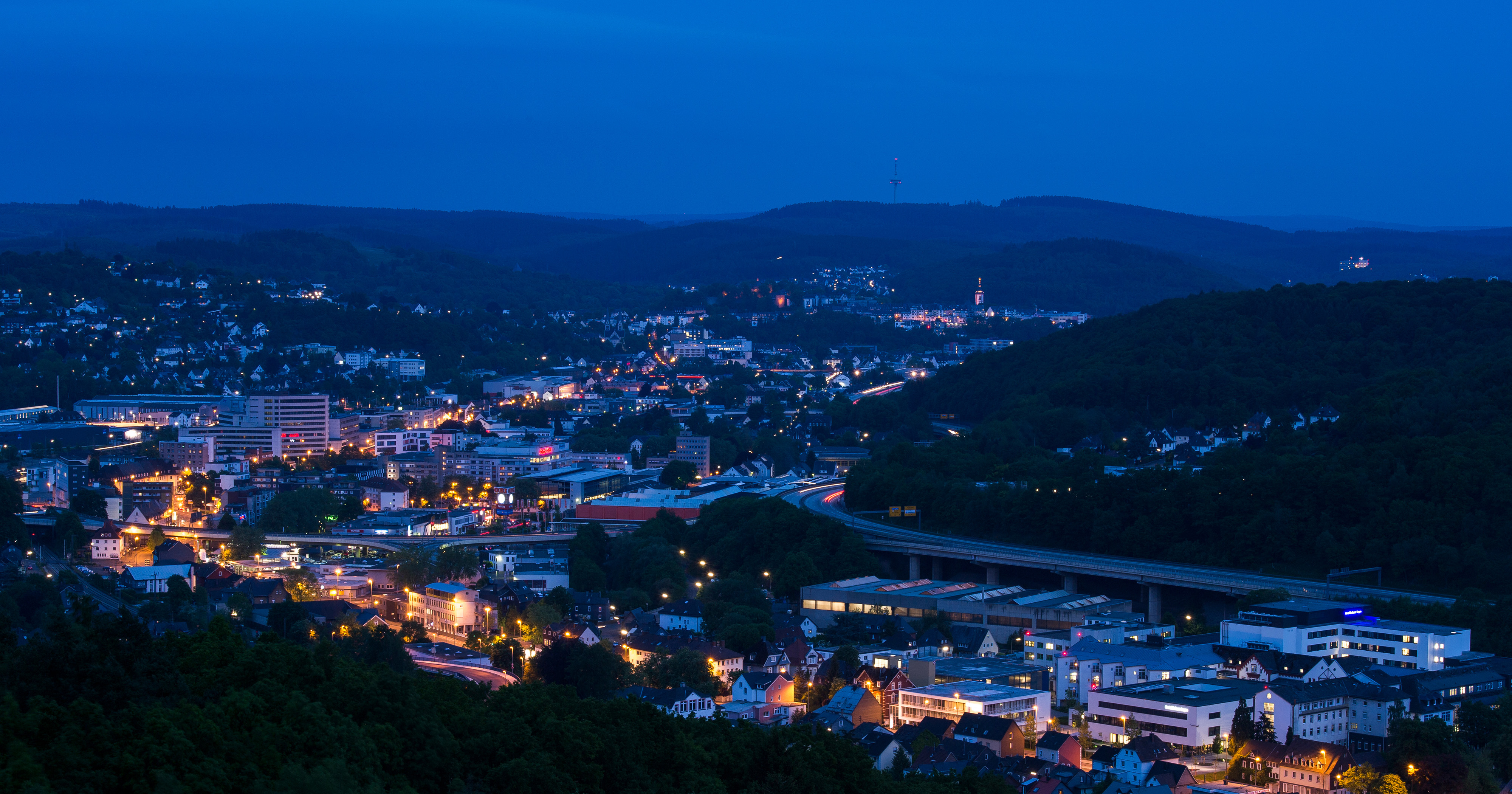 Das Foto zeigt eine Stadt in der Dämmerung. Lichter scheinen hell, im Vordergrund Wald.