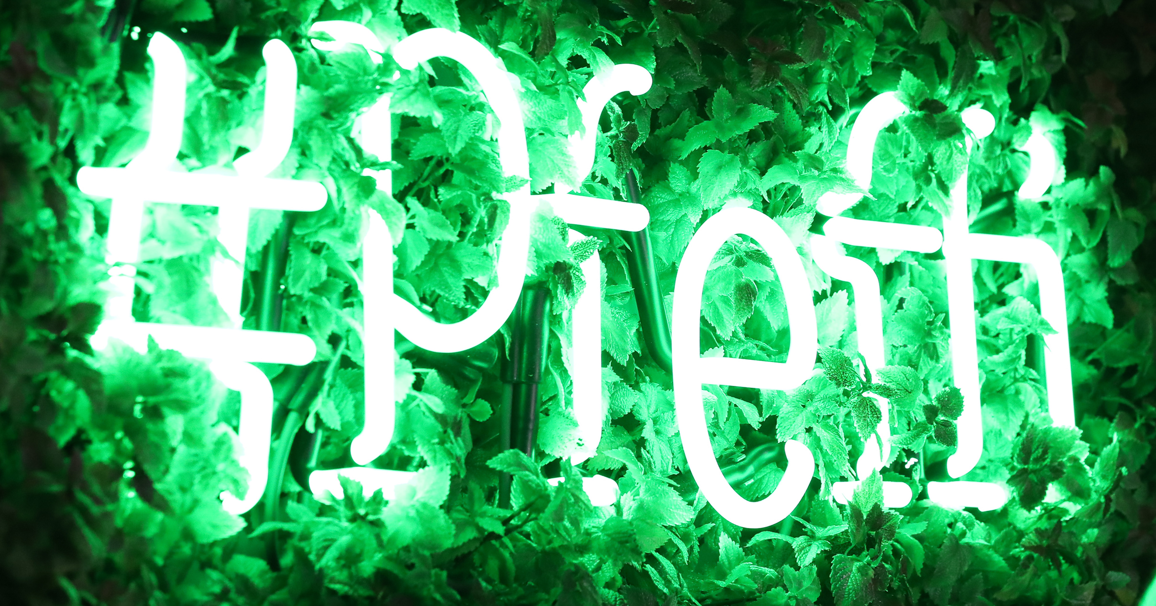 Das Foto zeigt eine grün bepflanzte Wand mit „#pfeffi“ Leuchtschrift.