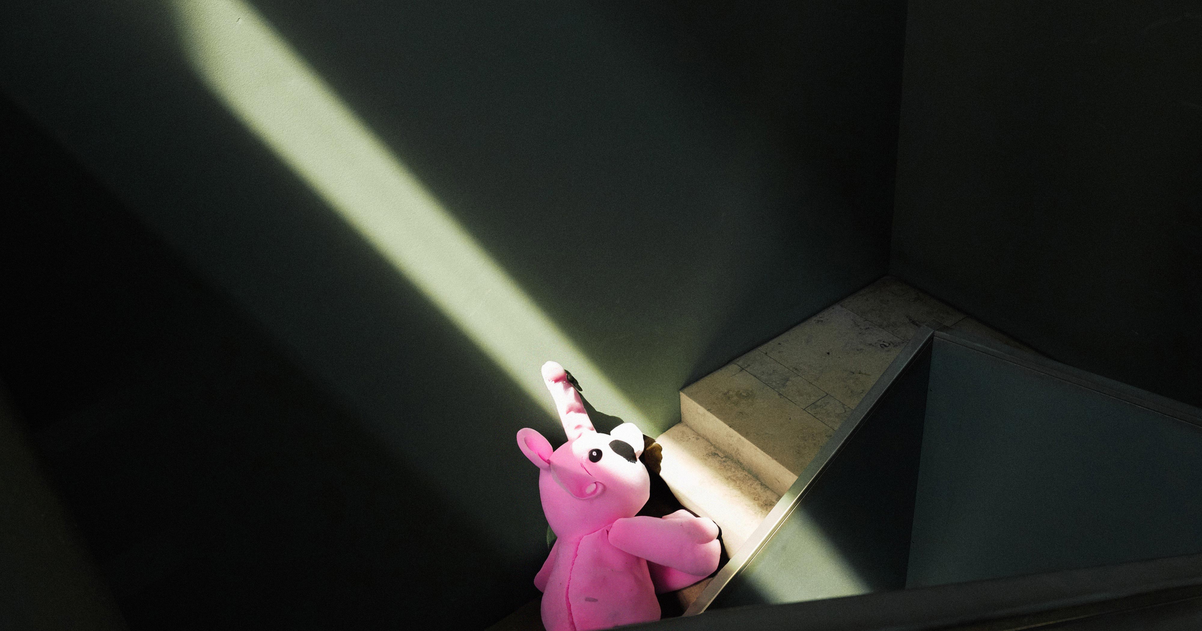 Man sieht einen FederhenSchneider Mitarbeiter, der von oben fotografiert wurde, wie er auf einer Treppe steht. Er trägt eine Baseball Cap und eine Sonnenbrille und zeigt nach oben.